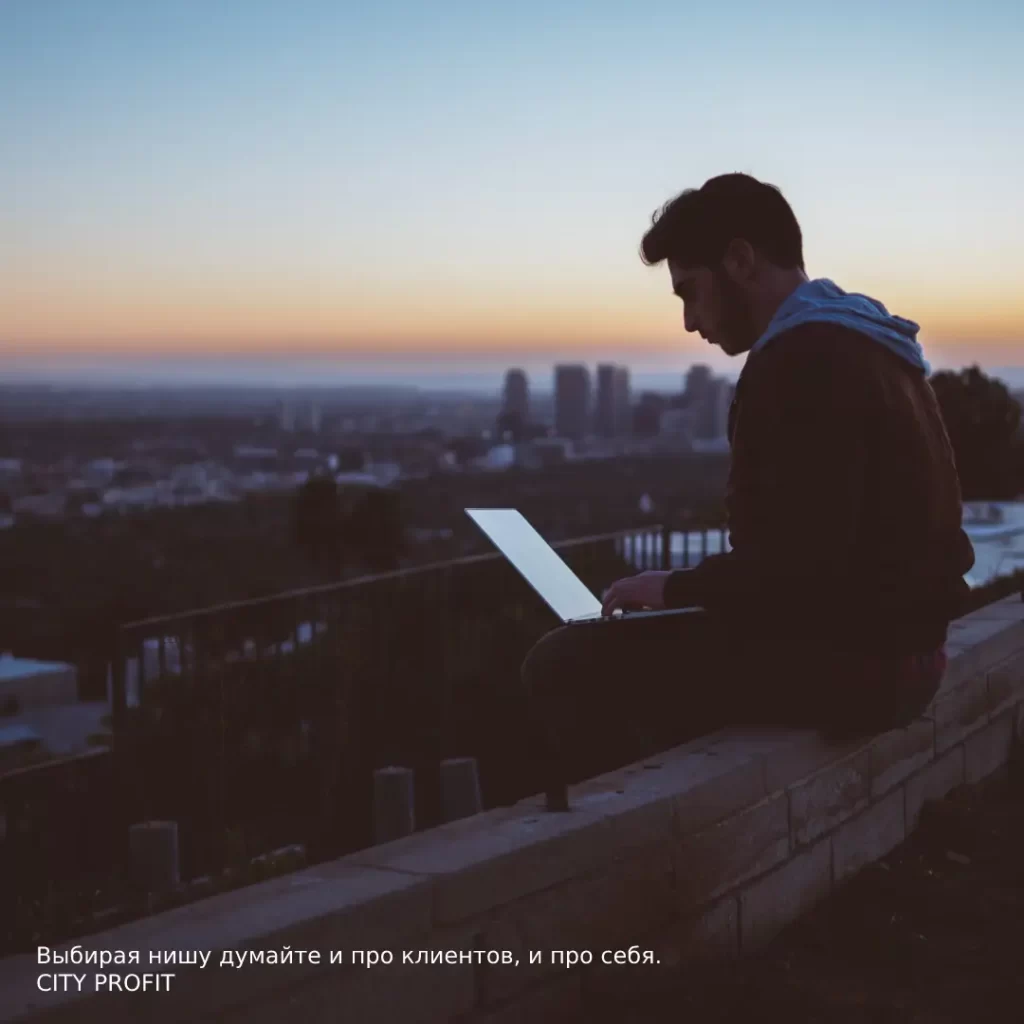 выбирая нишу думайте и про клиентов и про себя