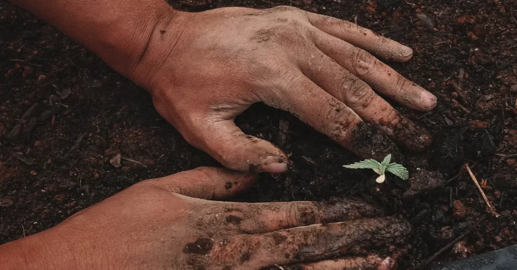 CRM. Непонятная аббревиатура или инструмент для успешного развития вашего бизнеса?